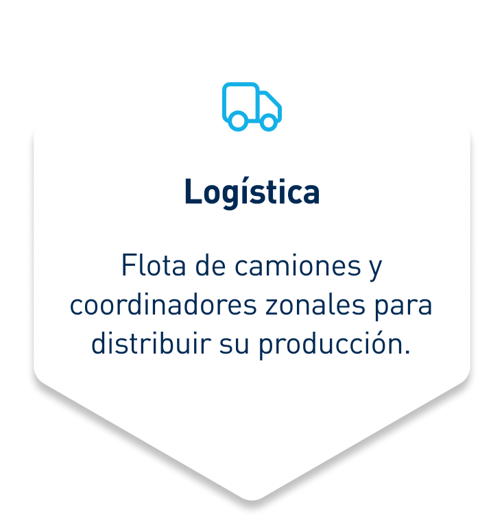 logistica mobile
